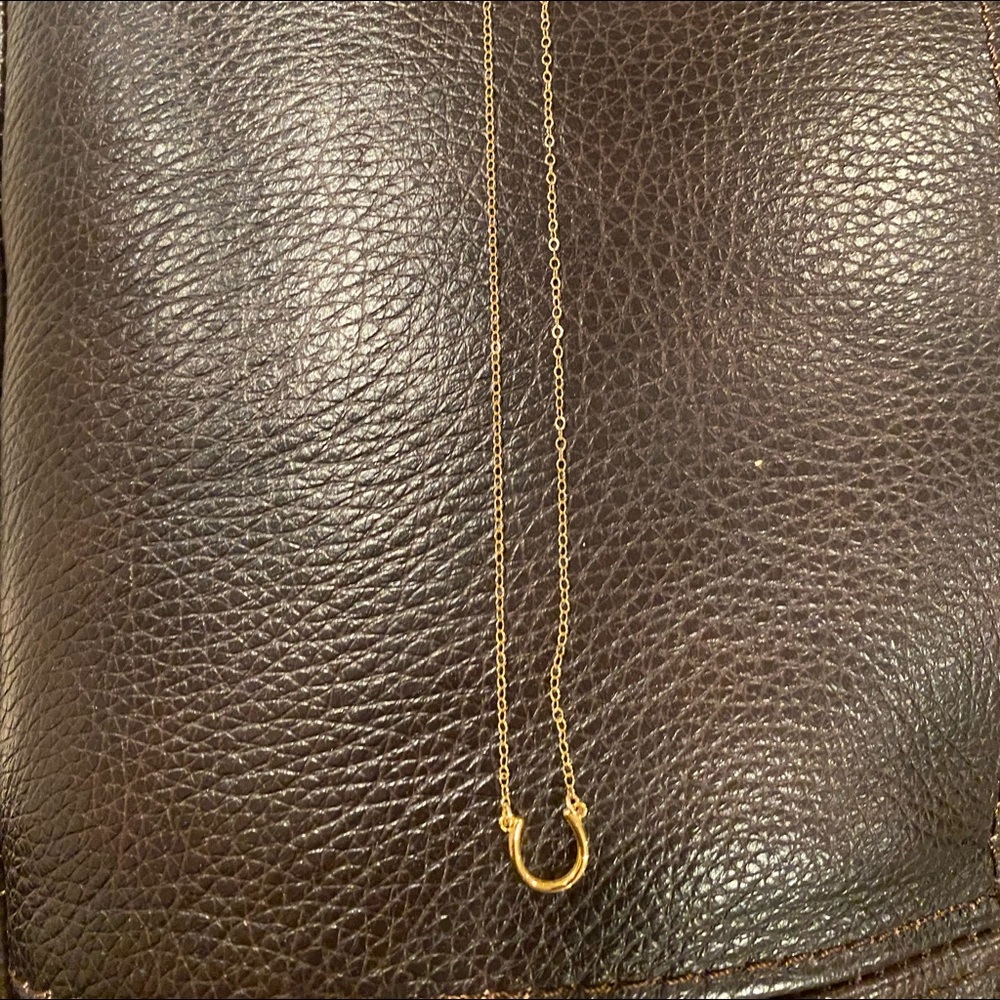 Gold Botique Horseshoe necklace